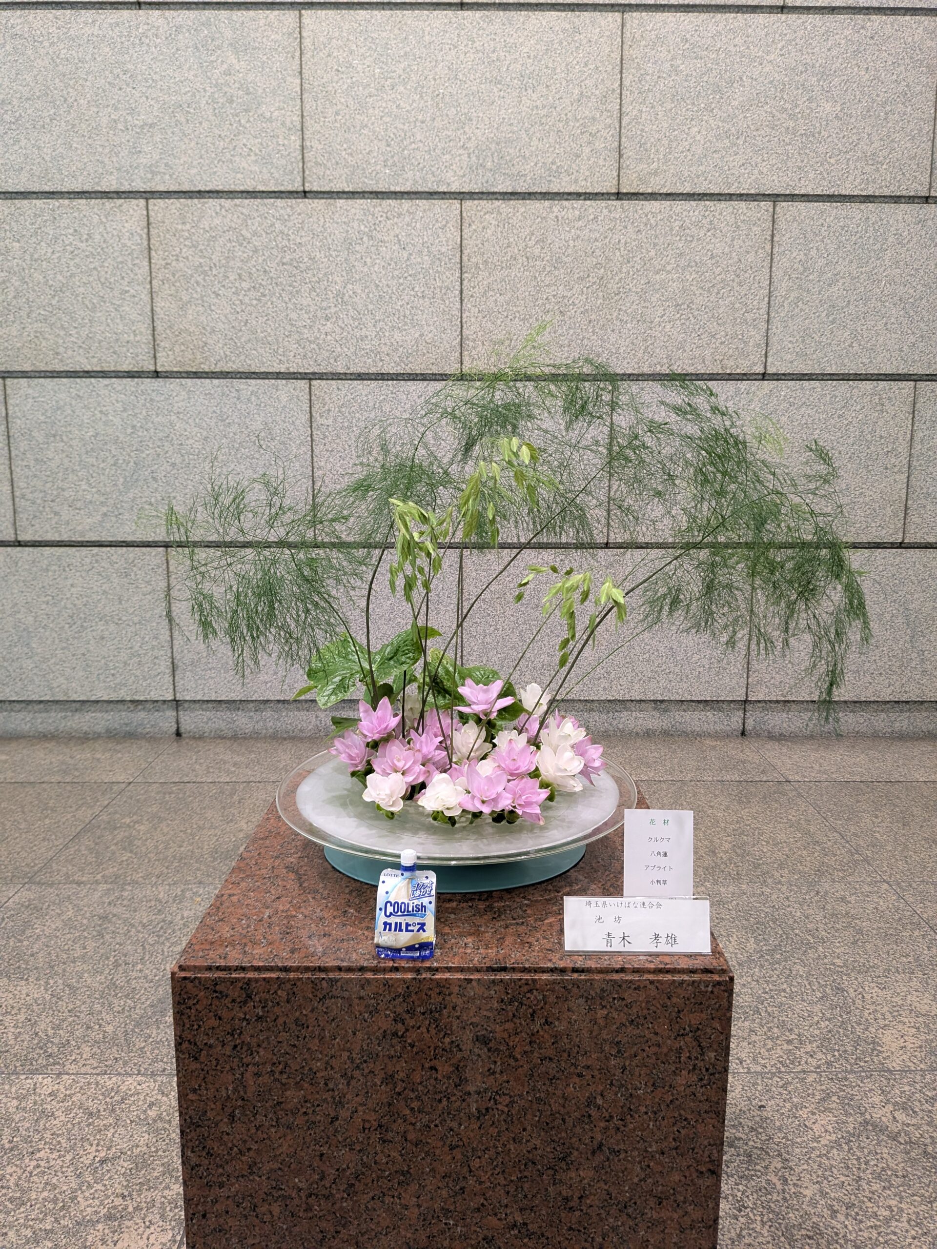 議会ロビーの蓮の花