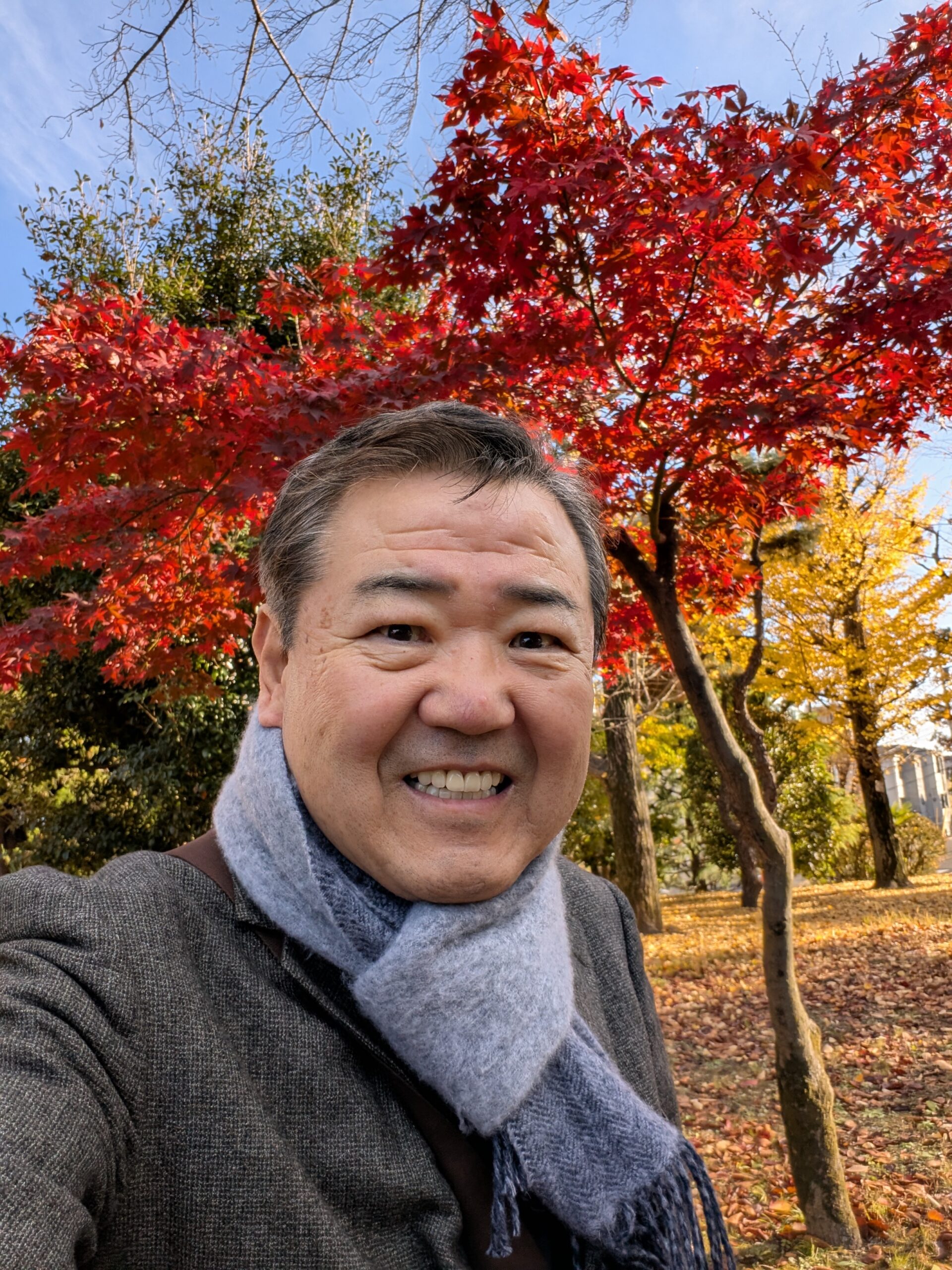 県庁の紅葉