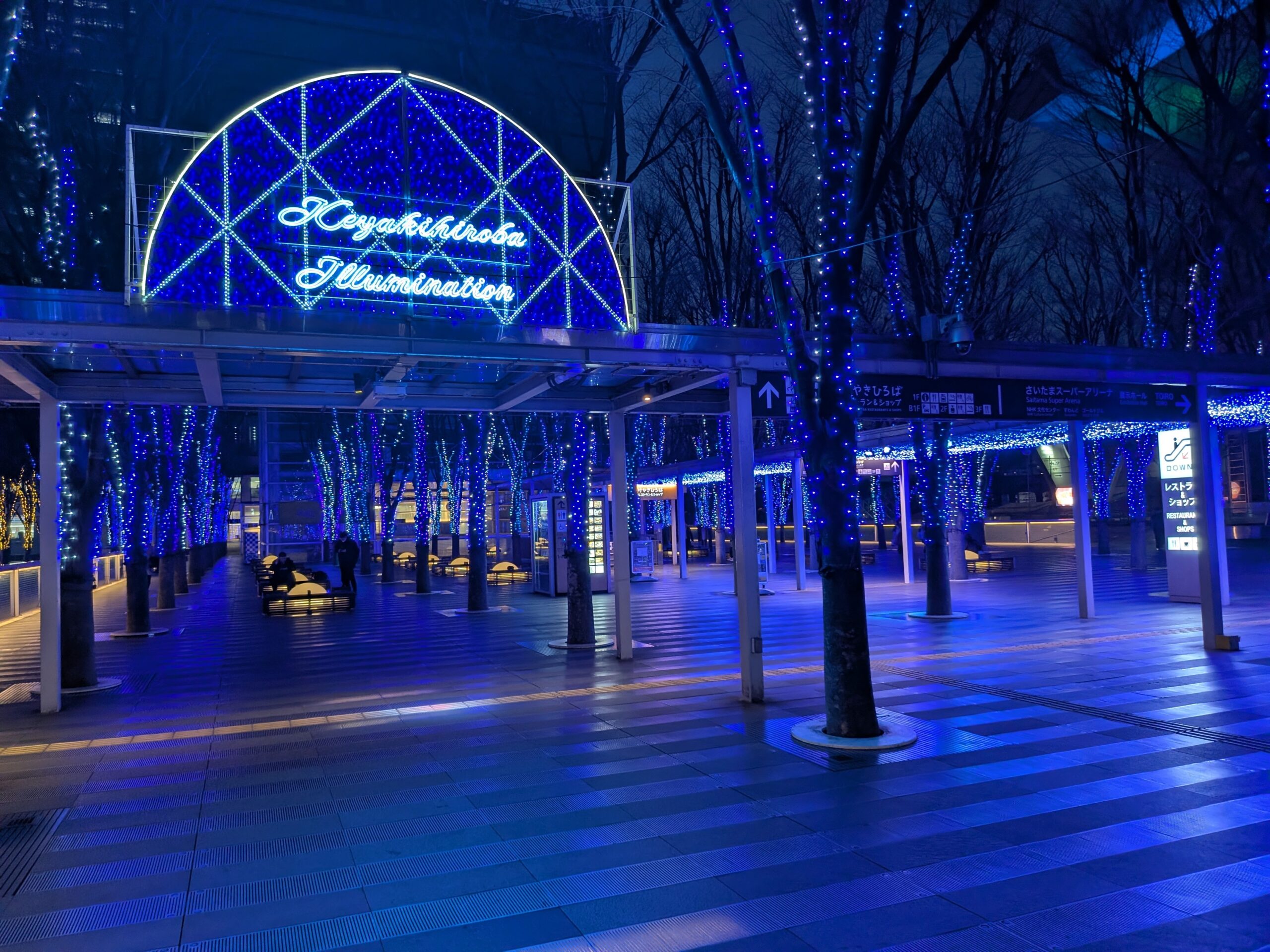 新都心ケヤキ広場