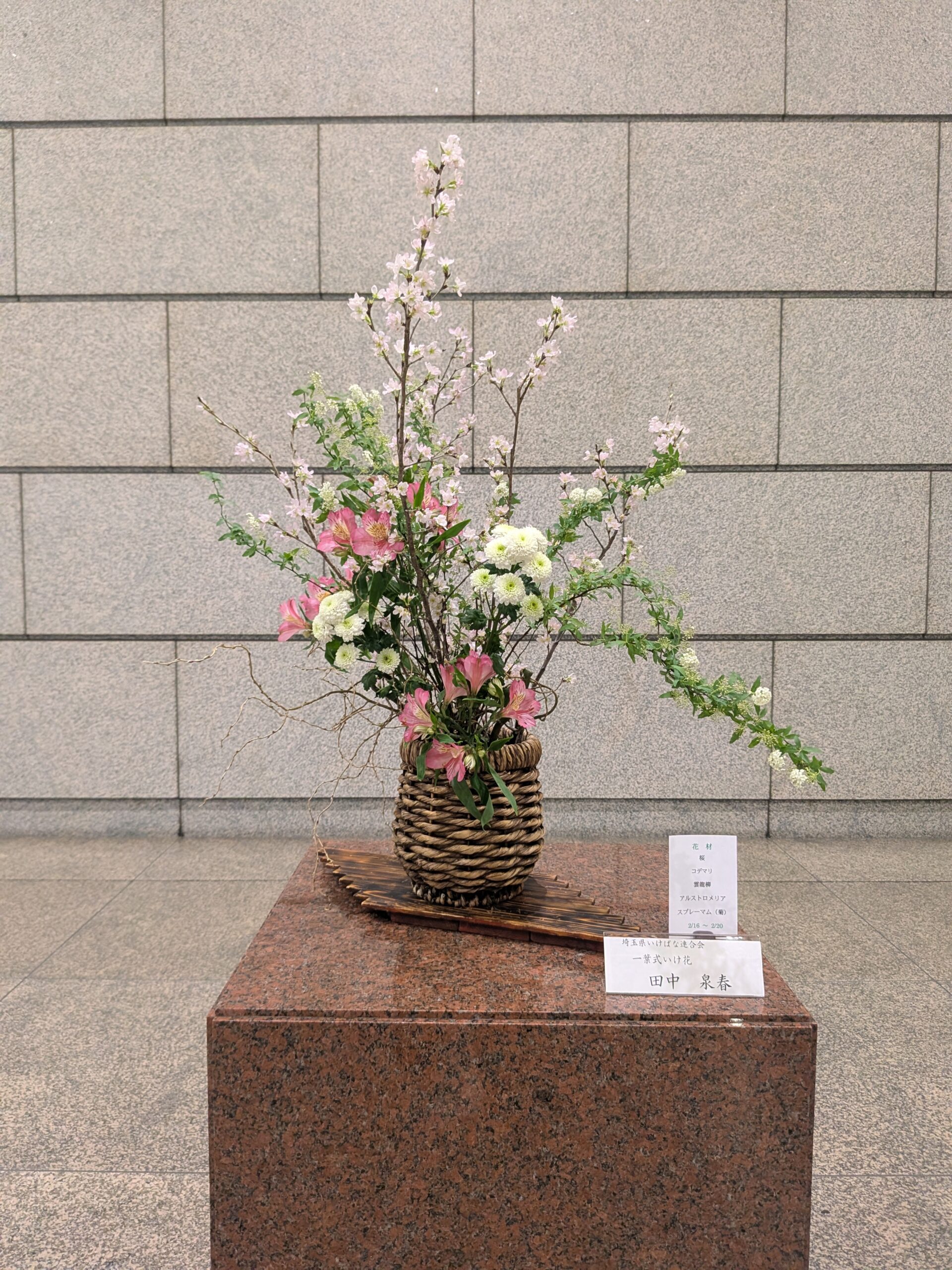 議会「春の花」