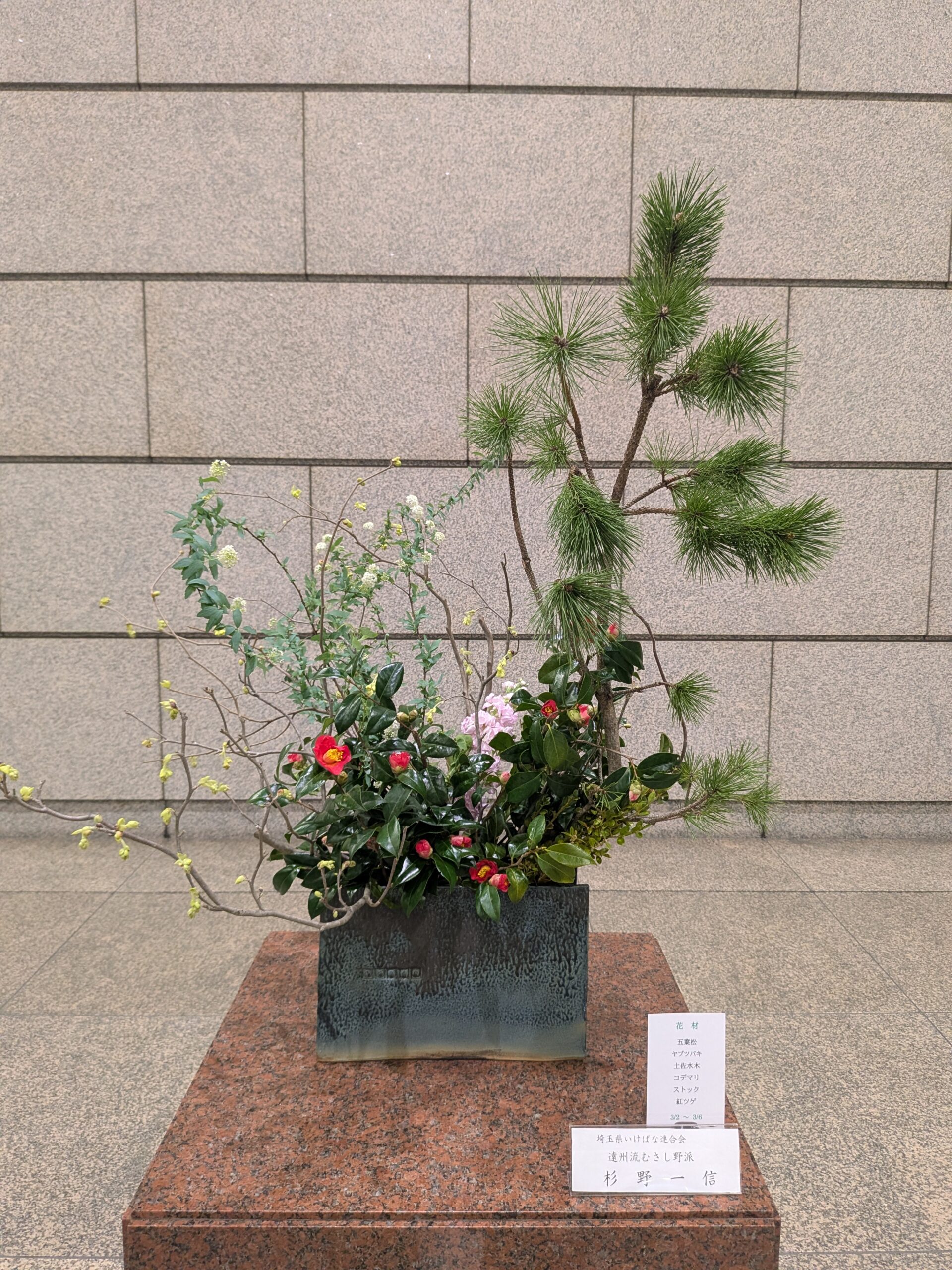 今日も議会質問