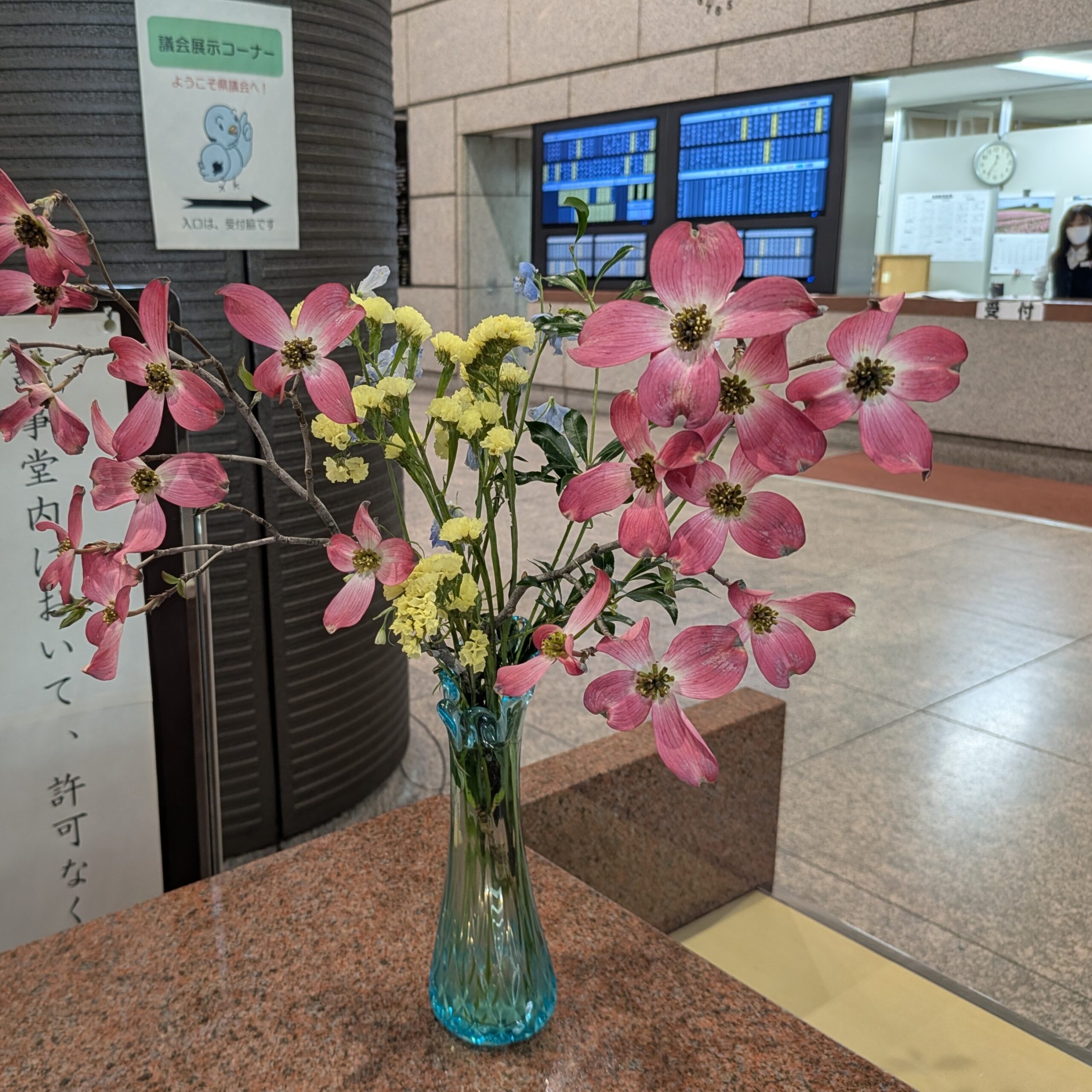 県議会の花水木