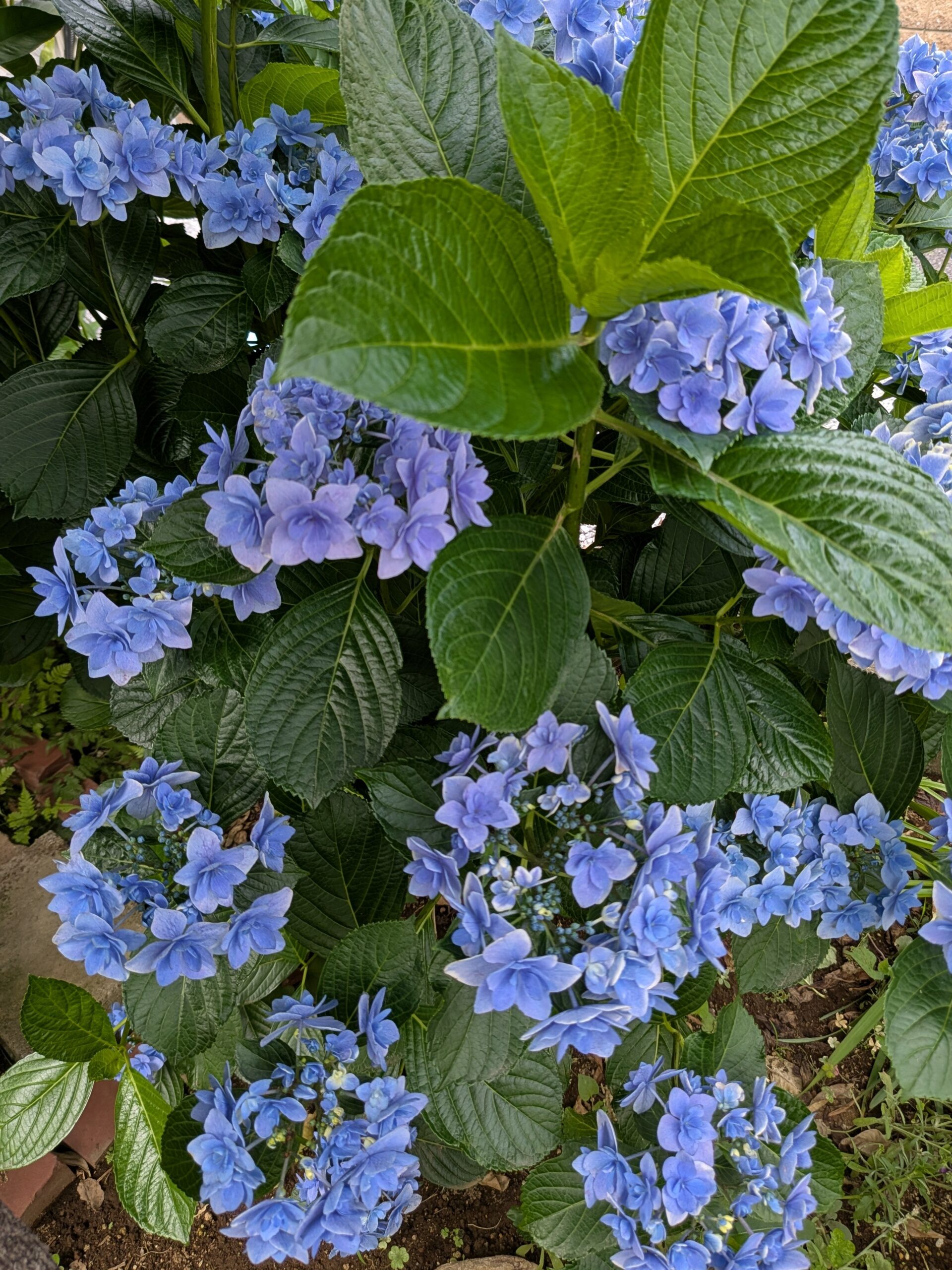 少し静養します！