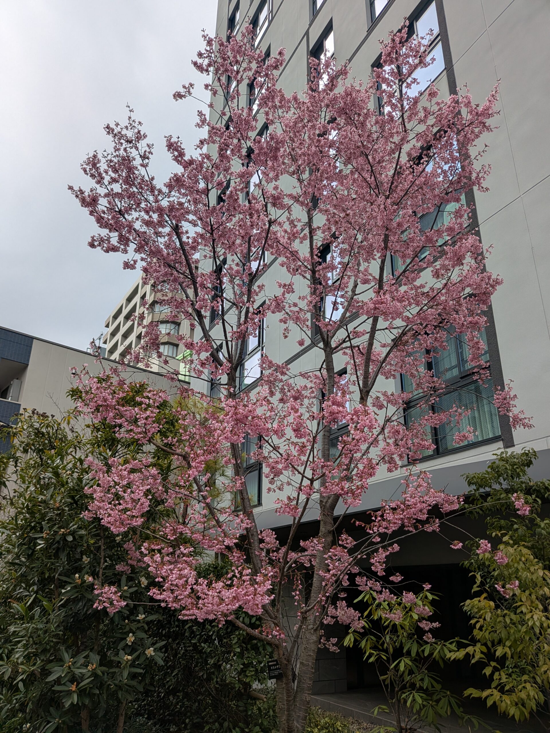 休養しています！